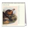 2027 Desk Calendar | John Gould Australian Animals | Vevoke