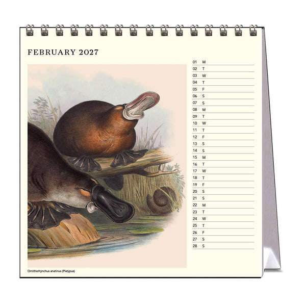 2027 Desk Calendar | John Gould Australian Animals | Vevoke
