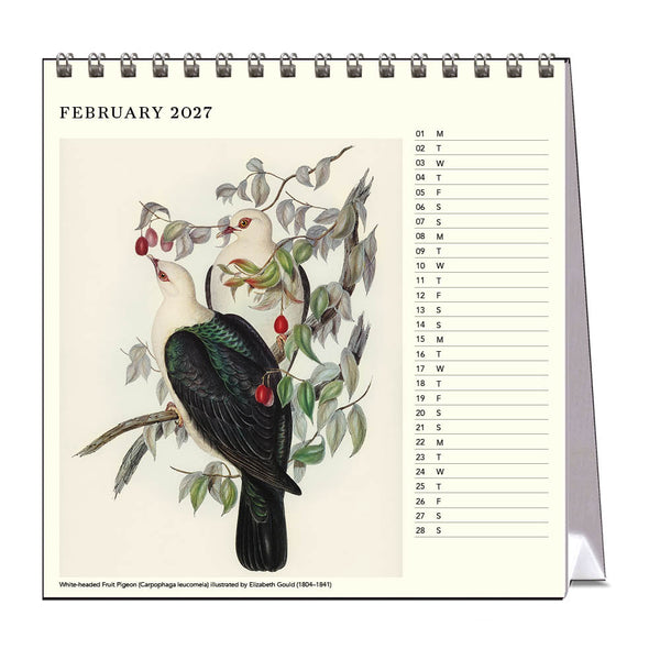 2027 Desk Calendar | John Gould Australian Birds | Vevoke