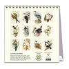2027 Desk Calendar | John Gould Australian Birds | Vevoke