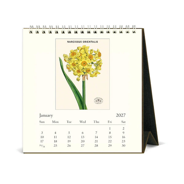 2027 Desk Calendar | Botanica | Cavallini & Co.