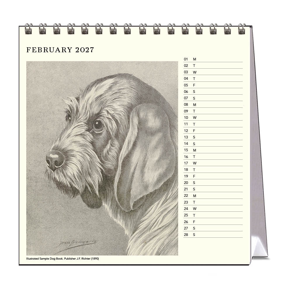 2027 Desk Calendar | Dog Drawings | Vevoke
