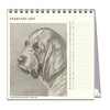2027 Desk Calendar | Dog Drawings | Vevoke