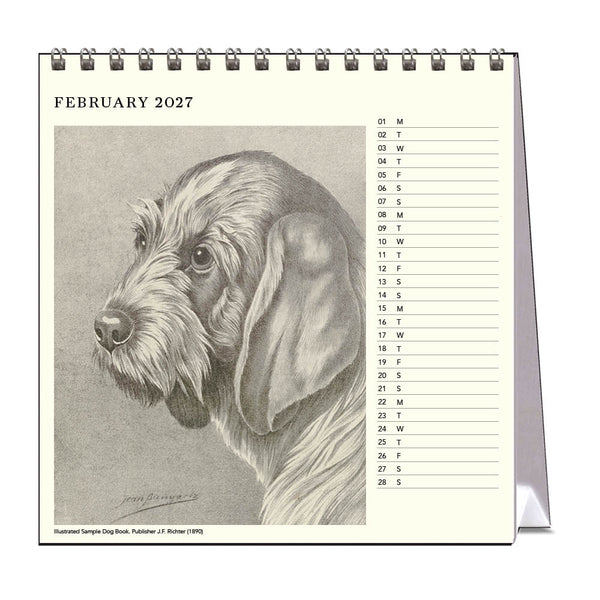 2027 Desk Calendar | Dog Drawings | Vevoke