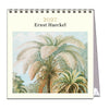 2027 Desk Calendar | Ernst Haeckel | Vevoke