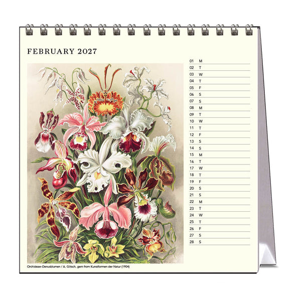 2027 Desk Calendar | Ernst Haeckel | Vevoke