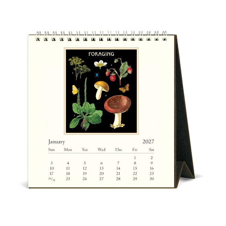 2027 Desk Calendar | Foraging | Cavallini & Co.