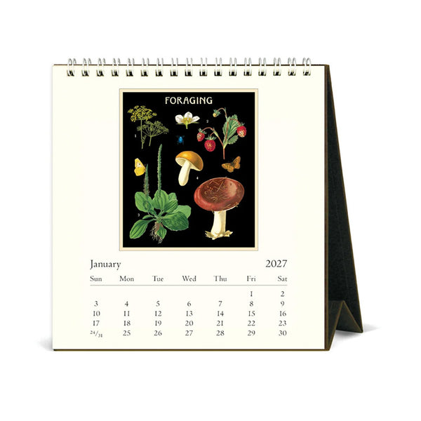 2027 Desk Calendar | Foraging | Cavallini & Co.