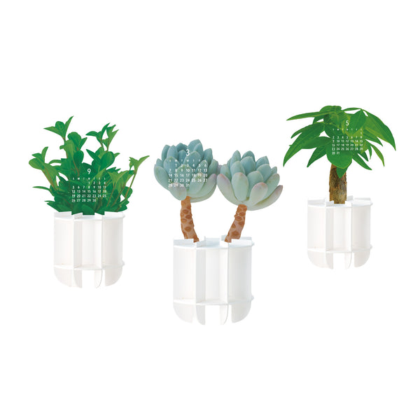 2027 Desk Calendar | Greenery | Good Morning