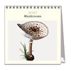 2027 Desk Calendar | Mushrooms | Vevoke