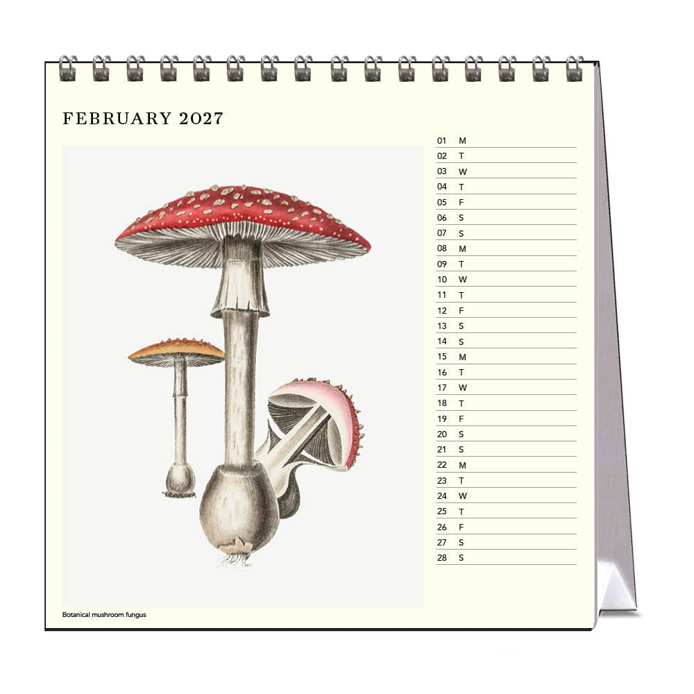 2027 Desk Calendar | Mushrooms | Vevoke