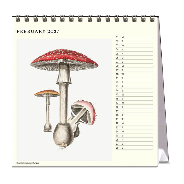 2027 Desk Calendar | Mushrooms | Vevoke