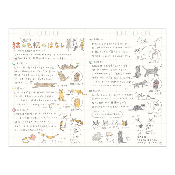 2027 Desk Calendar | Ring | Medium | Cat | Midori