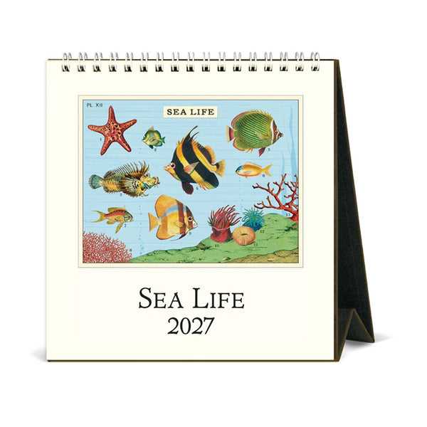 2027 Desk Calendar | Sea Life | Cavallini & Co.