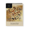 2027 Desk Calendar | The Natural World | Ohh Deer