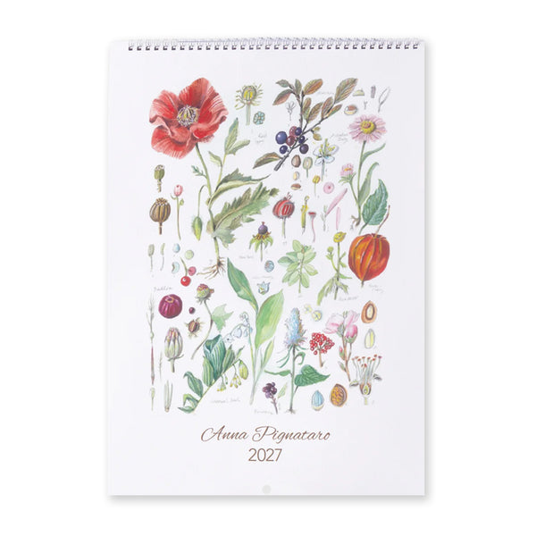2027 Wall Calendar | Anna Pignataro | Nuovo Group