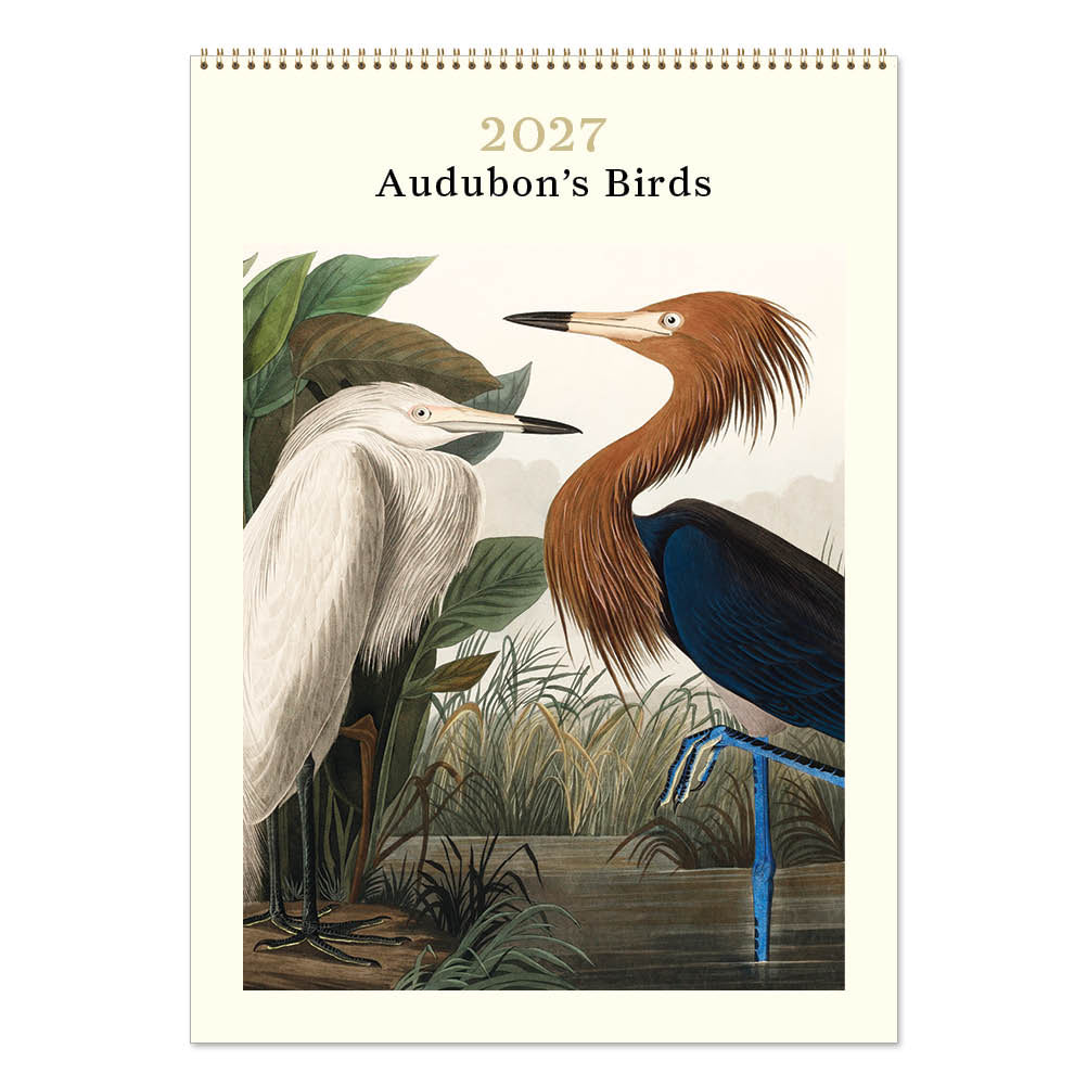 2027 Wall Calendar | Audubon's Birds | Vevoke