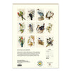 2027 Wall Calendar | John Gould Australian Birds | Vevoke