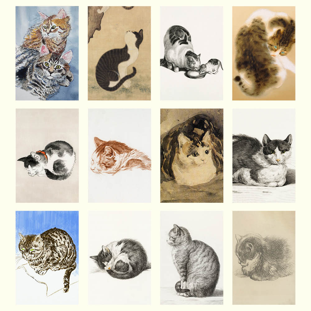 2027 Wall Calendar | Cat Drawings | Vevoke