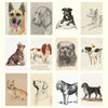 2027 Wall Calendar | Dog Drawings | Vevoke