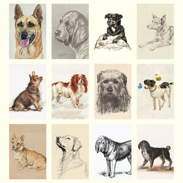 2027 Wall Calendar | Dog Drawings | Vevoke