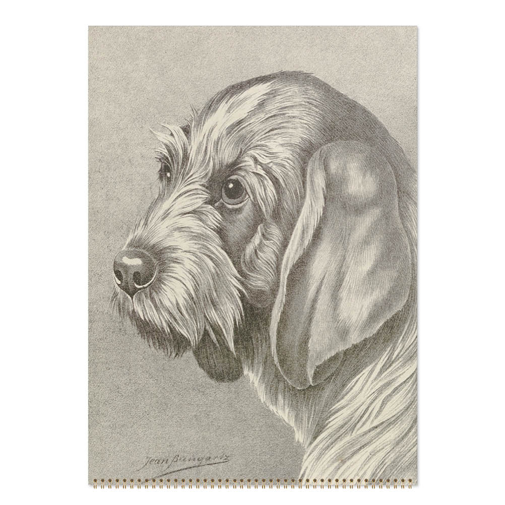 2027 Wall Calendar | Dog Drawings | Vevoke