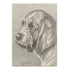 2027 Wall Calendar | Dog Drawings | Vevoke