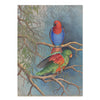 2027 Wall Calendar | Ellis Rowan Birds | Vevoke