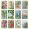2027 Wall Calendar | Ellis Rowan Flowers | Vevoke