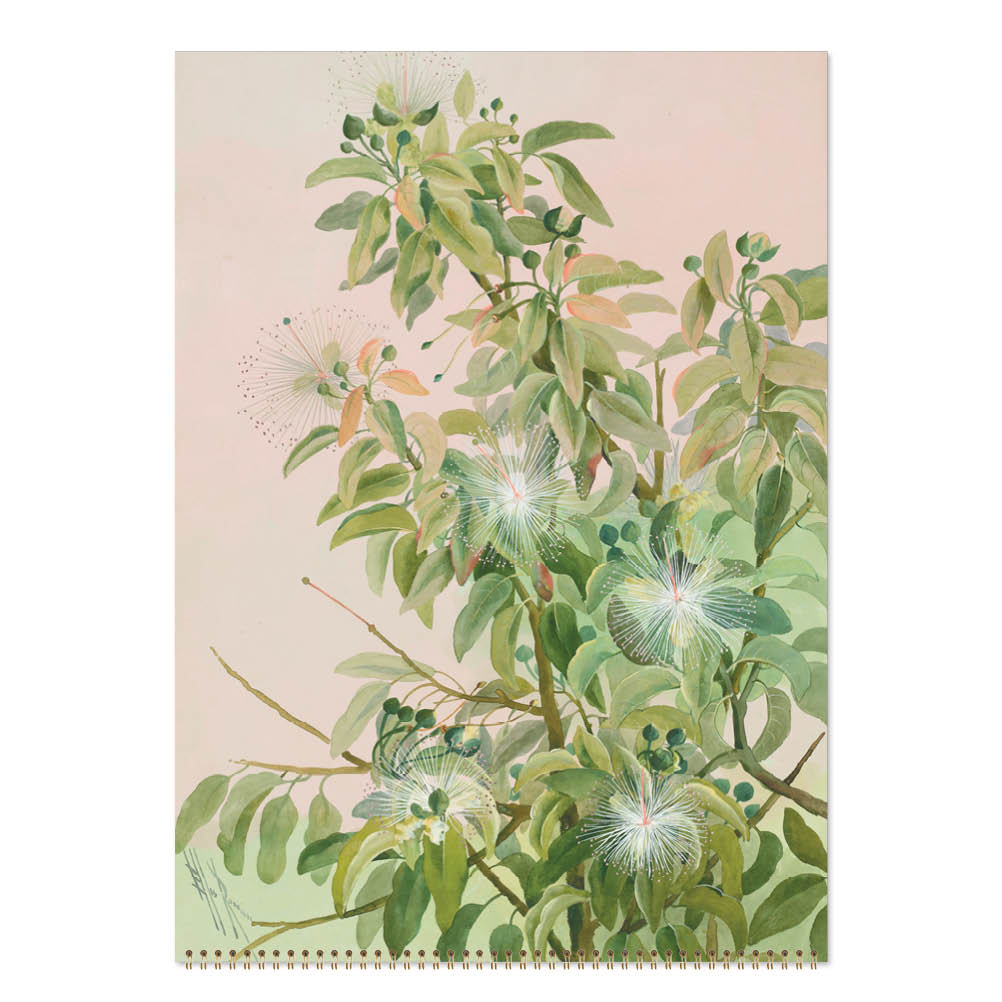 2027 Wall Calendar | Ellis Rowan Flowers | Vevoke