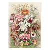 2027 Wall Calendar | Ernst Haeckel | Vevoke