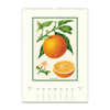 2027 Wall Calendar | Farmer's Market | Cavallini & Co.