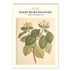 2027 Wall Calendar | Joseph Banks Botanicals | Vevoke