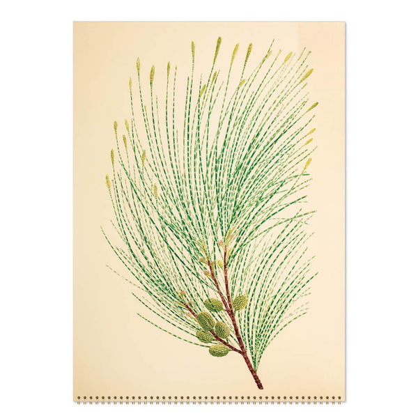 2027 Wall Calendar | Joseph Banks Botanicals | Vevoke