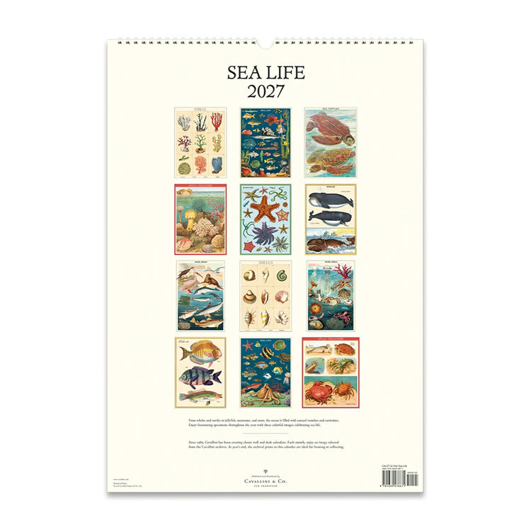 2027 Wall Calendar | Sea Life | Cavallini & Co.