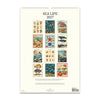 2027 Wall Calendar | Sea Life | Cavallini & Co.