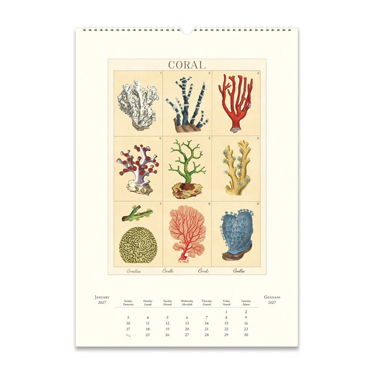 2027 Wall Calendar | Sea Life | Cavallini & Co.