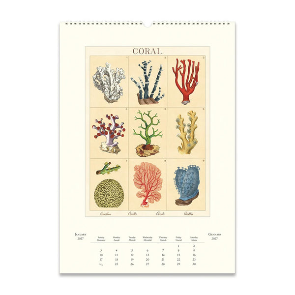 2027 Wall Calendar | Sea Life | Cavallini & Co.