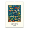 2027 Wall Calendar | Sea Life | Cavallini & Co.