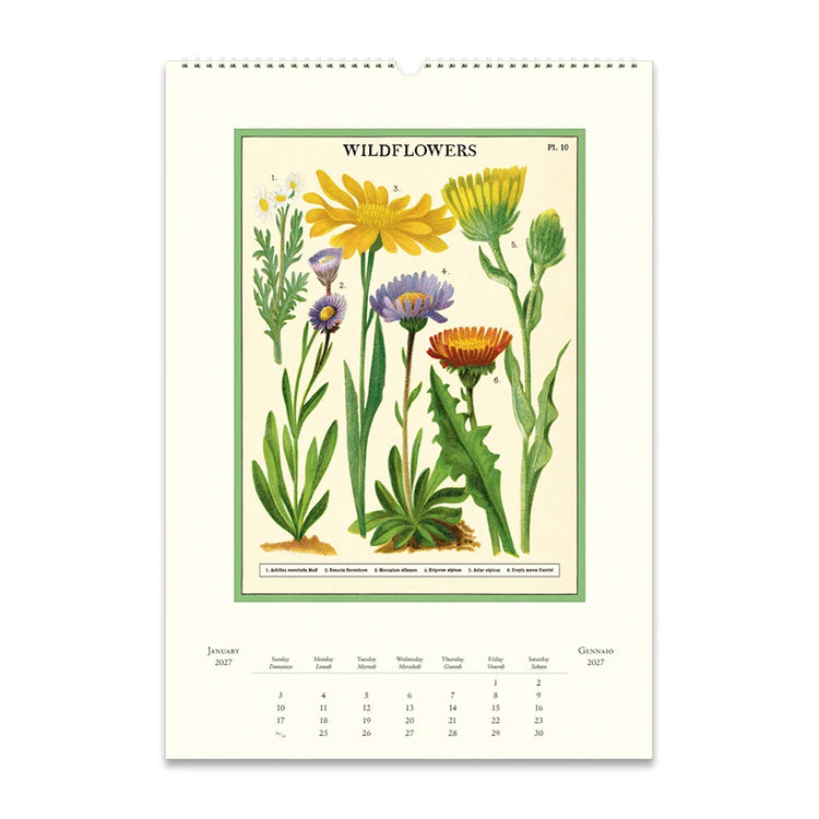 2027 Wall Calendar | Wildflowers | Cavallini & Co.