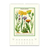 2027 Wall Calendar | Wildflowers | Cavallini & Co.