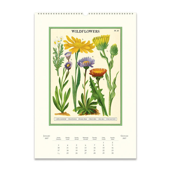 2027 Wall Calendar | Wildflowers | Cavallini & Co.