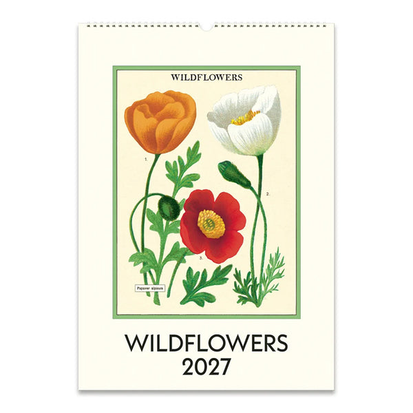 2027 Wall Calendar | Wildflowers | Cavallini & Co.