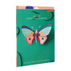 3D Cardboard Model Kit | Wall Art | A4 | Cattleheart Butterfly |  Studio Roof
