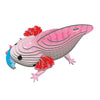 3D Cardboard Model Kit | Axolotl | Eugy