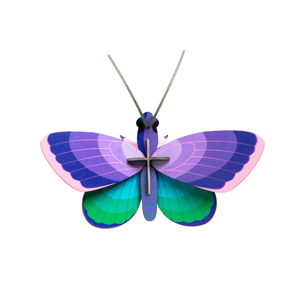 3D Cardboard Model Kit | Wall Art | B7 | Blue Copper Butterfly | Studio Roof