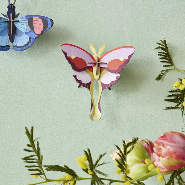 3D Cardboard Model Kit | Wall Art | B7 | Lilac Comet Butterfly | Studio Roof