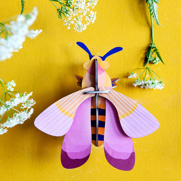 3D Cardboard Model Kit | Wall Art | B7 | Pink Bee | Studio Roof