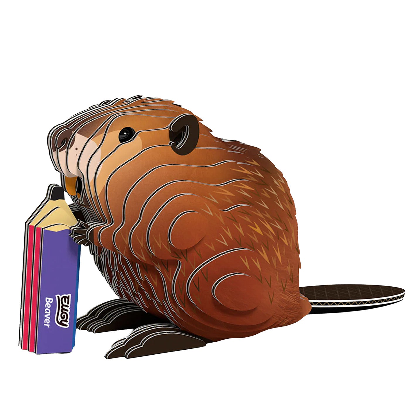 3D Cardboard Model Kit | Beaver | Eugy