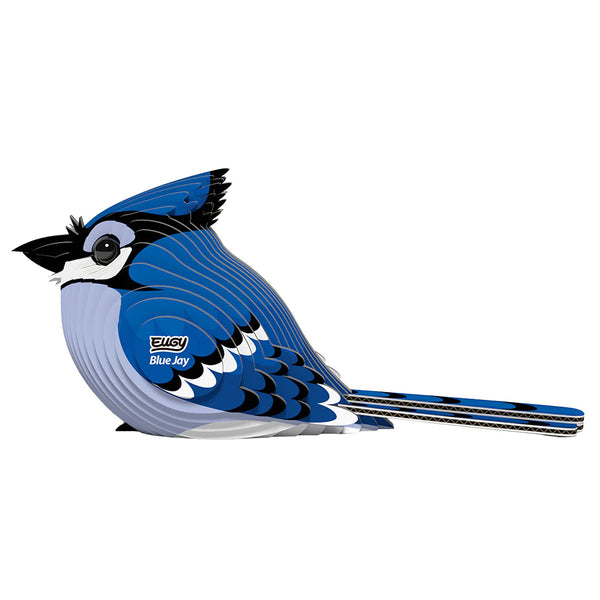 3D Cardboard Model Kit | Blue Jay | Eugy